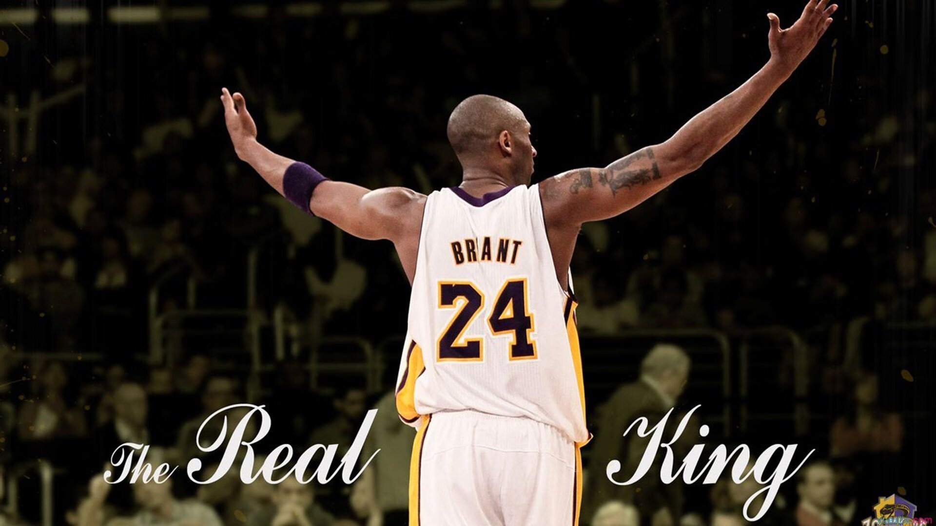 查默斯冲线瞬间震撼全场,查尔默斯