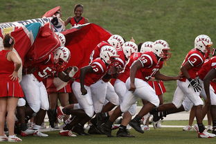 红雀四分卫回归，进攻端焕发新活力，红雀怎么样