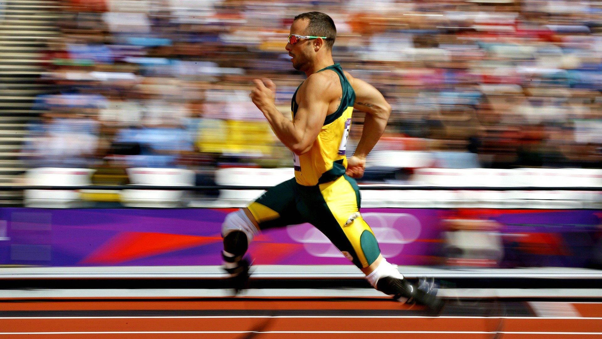 养老金投资表现优异,公众信心再增强,养老金投资政策